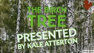 Red Squirrel Ancestral Skills | The Birch Tree | Presented By Kael Atterton