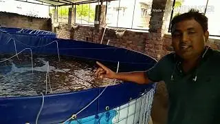 KOLKATA'S FIRST BIOFLOC FISH FARM.
