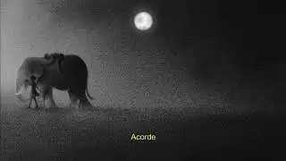 M&uacute;sica Tipo 9 (Nine - Sleeping At Last) Tradu&ccedil;&atilde;o Legendado
