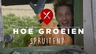 Hoe groeien #spruitjes?