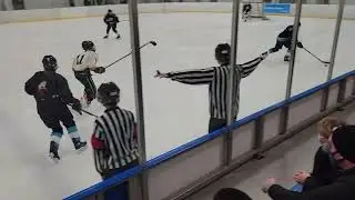 PCAHA Tier Final 4 - Game 3 - VMHA A1 @ South Delta A1 - March 7, 2022 (6-1 Win)