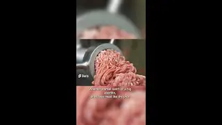 Walton's Meat Grinders