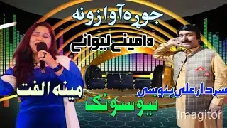 Pashto New Song 2025 | Sardarli Banuse & Meena Ulfat | Dameene Liwane | HD YouTube Video