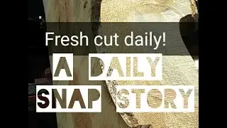Fresh Cut Daily - A Daily Snap Story