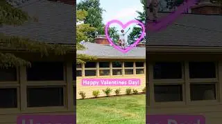 HAPPY VALENTINES DAY TO ALL 💖 #valentinesday #love #greenindustry #landscaping #guttercleaning