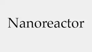 How to Pronounce Nanoreactor