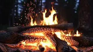 Crackling Fire Sounds for Calm Meditation