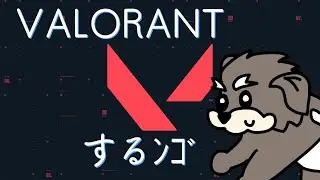 【VALORANT】おら、暴れるだよ！！