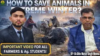 HOW TO SAVE ANIMAL'S IN EXTREME WINTER 🐄❄️! किस प्रकार किसान को अपने पशुओं को रखना चाहिए? #agrilok 