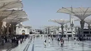Fazilat E ilm. Aqwal E Zarren.