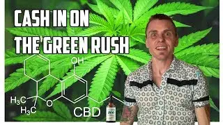 BEST CBD & HEMP OIL ONLINE SYSTEM - HempWorx Review