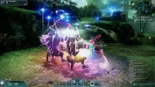 PSO2 Ray Tracing in Free Fields Forest XH