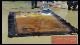 Special Rug Cleaning Process in Palm Beach