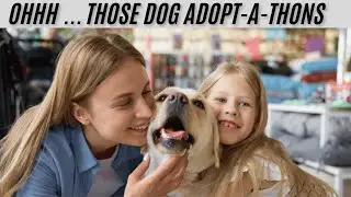 Dog Adopt-a-thons: Balancing Heart, Head, and Instincts
