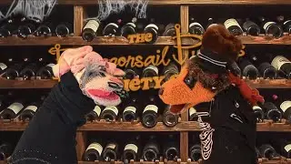 Dragonsail Puppets Variety Show ep. 43: HALLOWEEN IN THE WINE CELLAR