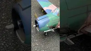 T-28 Trojan 120 size with Saito FG-19R3 and Master Aircrew 15x6
