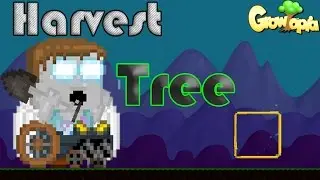 Growtopia | Harvest 200 Display Box Tree