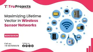 Maximizing Lifetime Vector in Wireless Sensor Networks