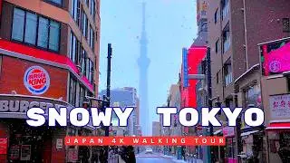 Snowy Morning Commute in Japan ❄️ | Walk to Station & Train to Tokyo Skytree (4K, No Talking)
