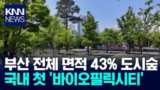 Busan City Selected as Korea's First 'Biophilic City' / KNN