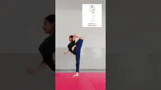 Vamdev Tripurasana✨ #yoga #trending #shorts #youtubeshorts #viralshorts