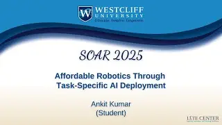 Affordable Robotics Through Task Specific AI Deployment