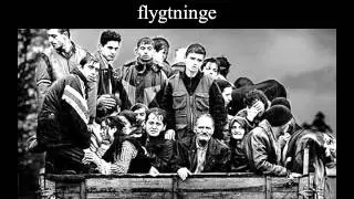Projektopgave Flygtninge i Dk