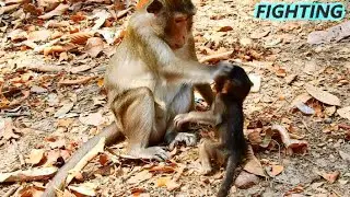 DON'T HURT ME...DON'T FIGHT ME...CRUEL ANNA DOING BAD HURT AND FIGHT ANISSA TO REJECT MILK