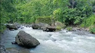 Peaceful River Sounds for Deep Relaxation  Calming Water Ambience.