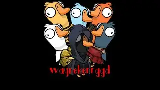 Wayne Big Brains the DODO!