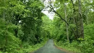 DANG | Saputara Road Trip | Forest | Must Visit Once | Ahwa | Gira Dhodh | Padam Dungri Road