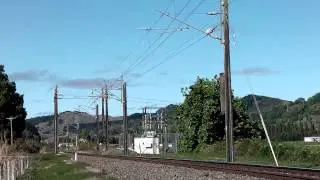Bits on the Trunk