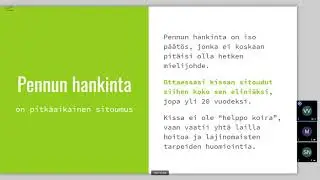 Webinaari - Nuori kissa