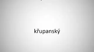 How to say boorish in Czech?