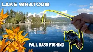 Catching COLD Weather SLABS!!! (Lake WHATCOM Fall Bass Fishing)