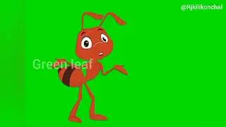 Ant on Green Royalty free video Ant walking Ant talking  no copyright free green screen video