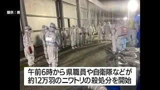 4例目の高病原性疑い鳥インフルエンザ　ニワトリ約12万羽の殺処分開始　鹿児島・出水市（2022.12.02）