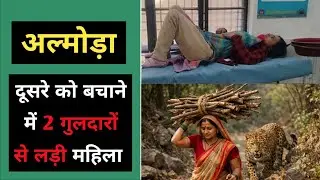 अल्मोड़ा : लकड़ी लेने आँगन के पास ही 2 गुलदार ने महिला | Almora Takula Bhasodi Gav m 2 guldar