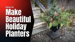 Make Beautiful Winter Porch Containers: Tips for Stunning Seasonal Displays🎄