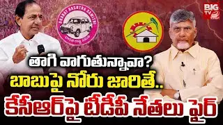 తాగి వాగుతున్నావా ? | TDP Leaders Fires On KCR Comments Over CM Chandrababu | BIG TV