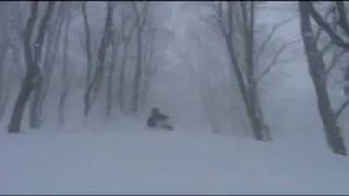 Heel Free Teｌemark Powder Skiing
