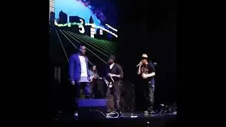 qyork + moses