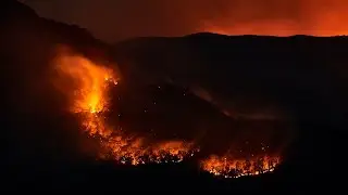 Red Cross puts forward $61m for immediate bushfire relief