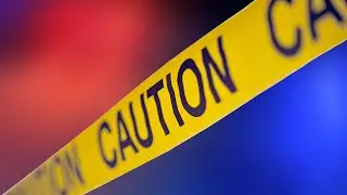 2 killed, 1 critically injured after crash in Pearsall, police chief says
