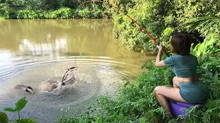 Single Mom Fishing! Super Amazing Fishing Technique, Hunting Big Catfish in The Village Ponds
