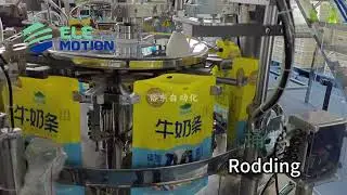 Elemotion Premade Bag Packaging Machine for Bag in Bag