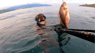 VERANO 2024 🐟 Pesca Submarina 🔱