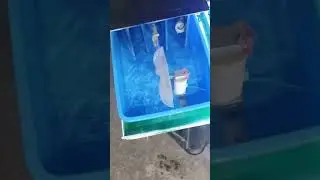 electricity from dam 