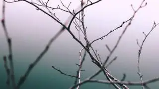 A Himitsu - Isolated Mind