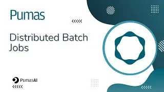 Distributed Batch Jobs